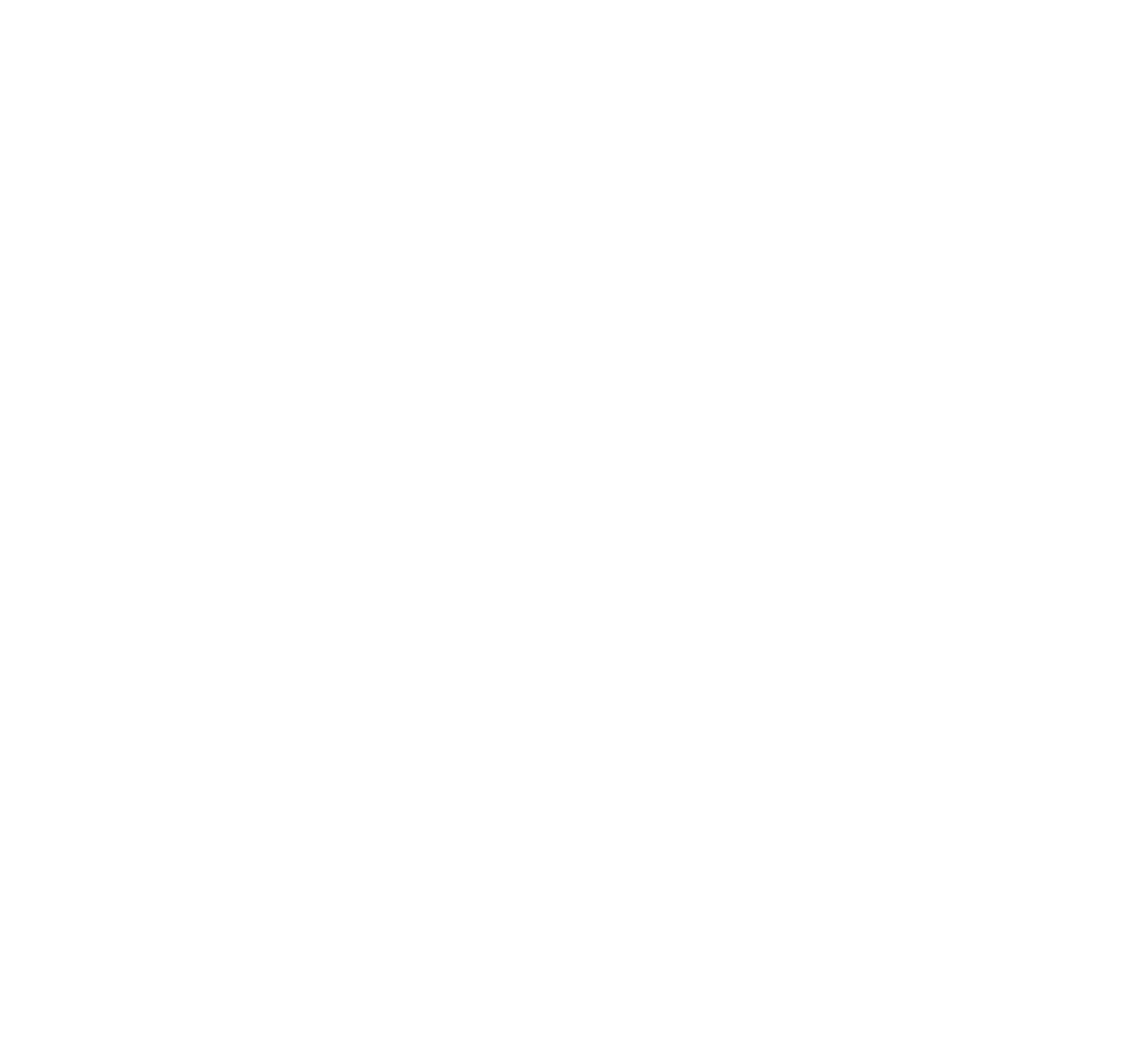LogoBrasserv
